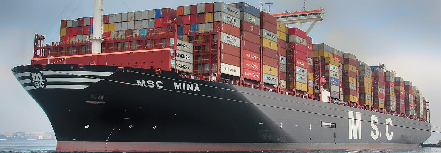 Largest Ship MSC Mina.jpg
