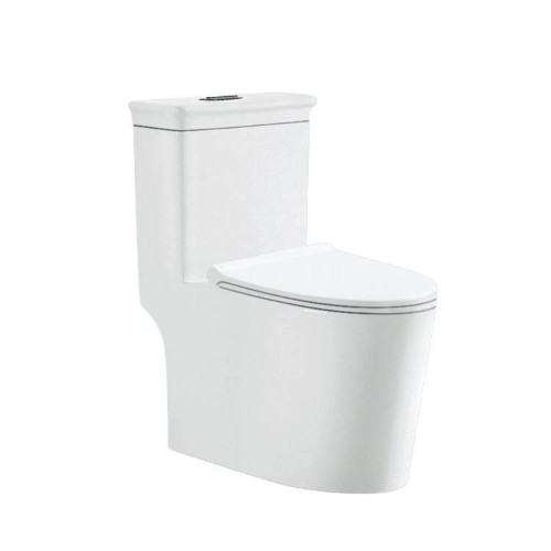 One-Piece Toilets