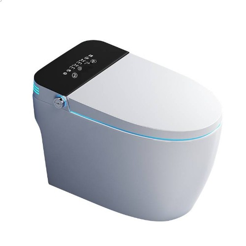 Smart Toilets
